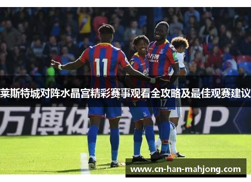 莱斯特城对阵水晶宫精彩赛事观看全攻略及最佳观赛建议