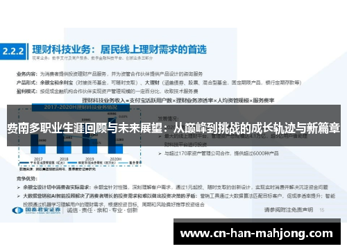 费南多职业生涯回顾与未来展望：从巅峰到挑战的成长轨迹与新篇章