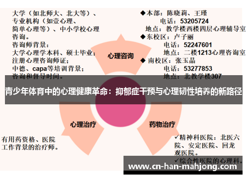 青少年体育中的心理健康革命:抑郁症干预与心理韧性培养的新路径 青少年体育中的心理健康革命:抑郁症干预与心理韧性培养的新路径